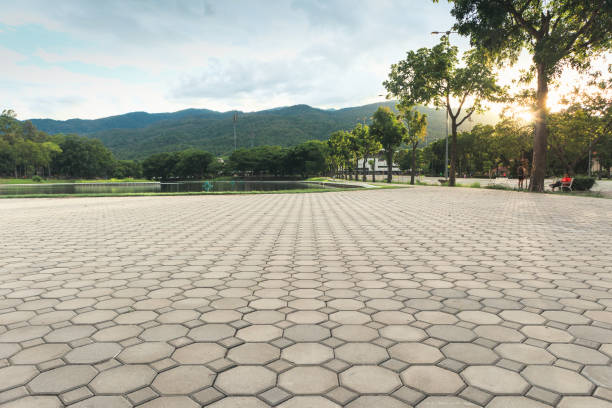 Best Driveway Paver Repair  in Lorado Springs, CO