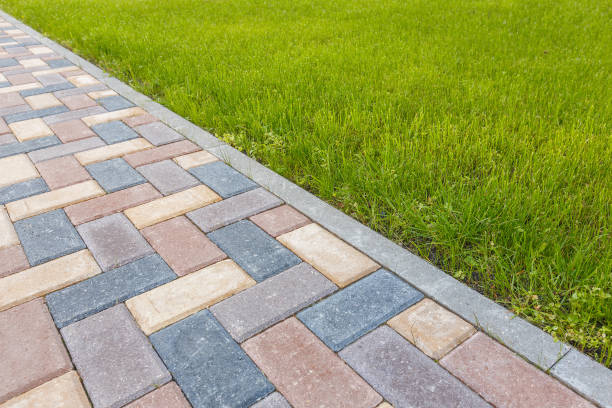 Best Driveway Pavers for Homes  in Lorado Springs, CO